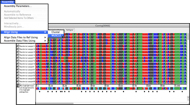 software to align dna sequences