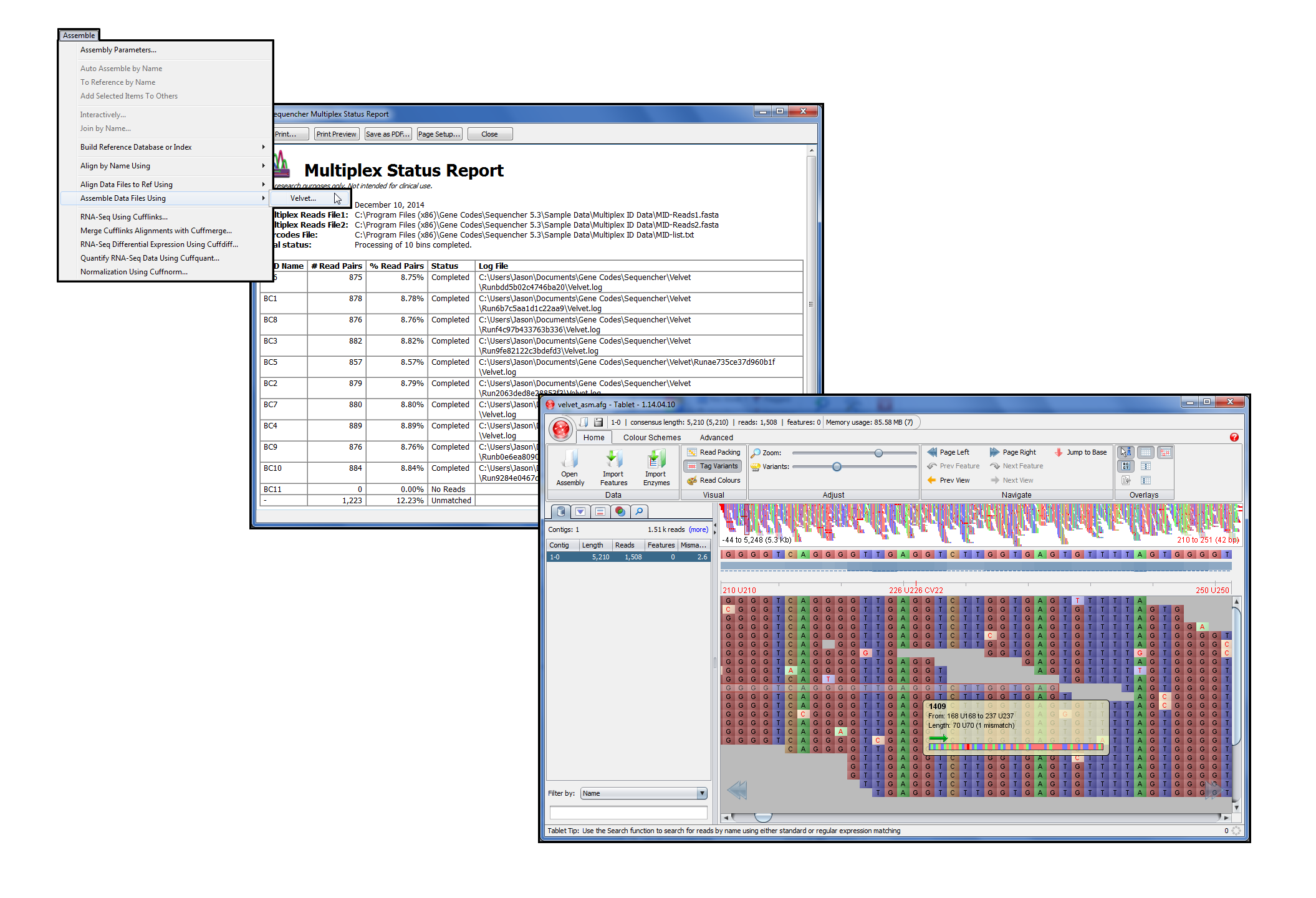 sequencher gene codes