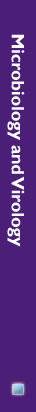 Gene Codes Microbiology and Virology