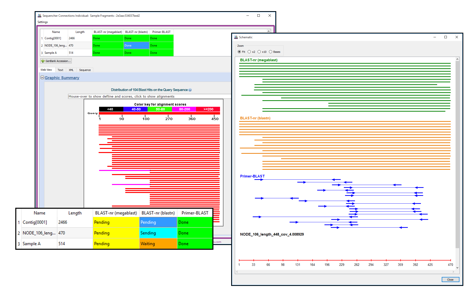 sequencher 3.1 activation server